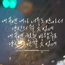 다온폰트 가시나무(B)