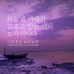 다온폰트 보라보라