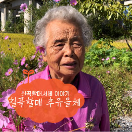 칠곡할매 추유을체