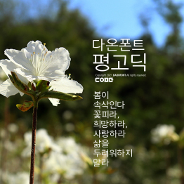 상품이미지